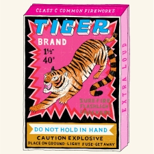 Tiger, Charlotte Farmer